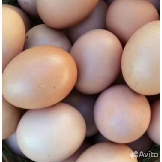 Яйца куриные