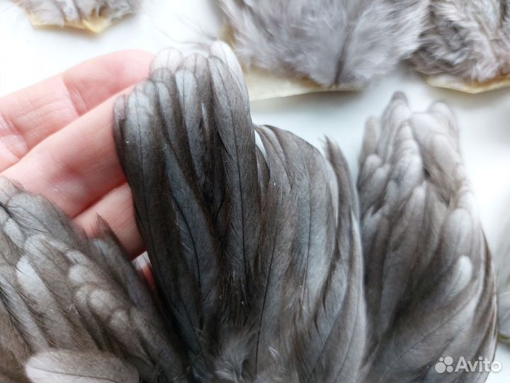 Натуральное перо для творчества. Мушки