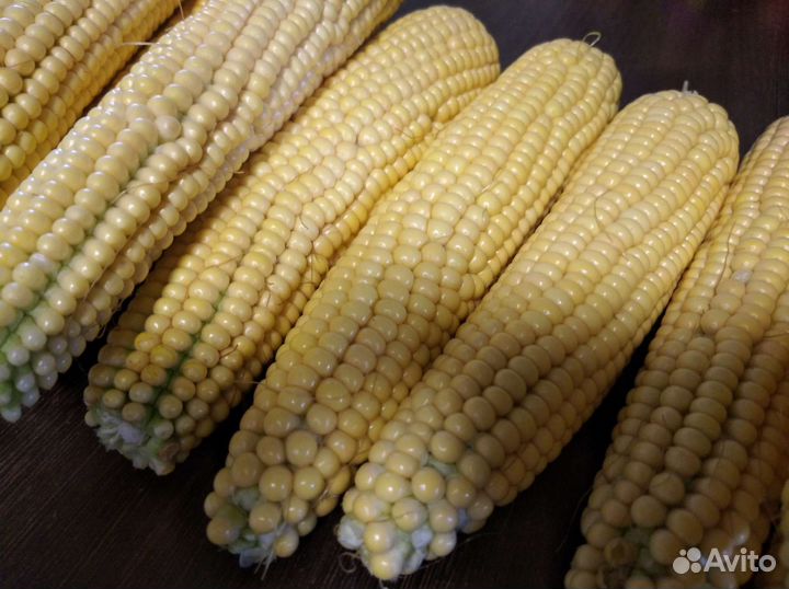 Кукуруза