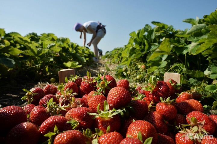 Разнорабочий Вахта с проживанием и питанием