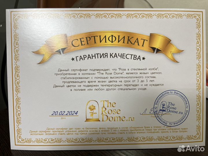 Стабилизированные цветы в стекле