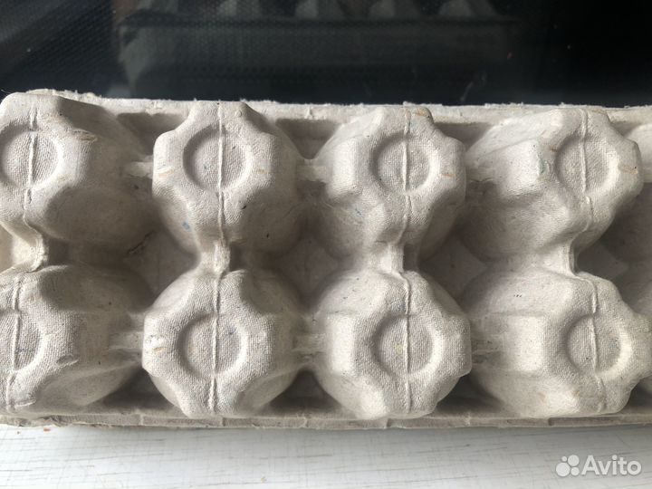 Лотки для яиц