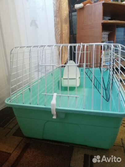 Клетка для морской свинки