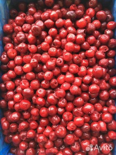 Вишня замороженная