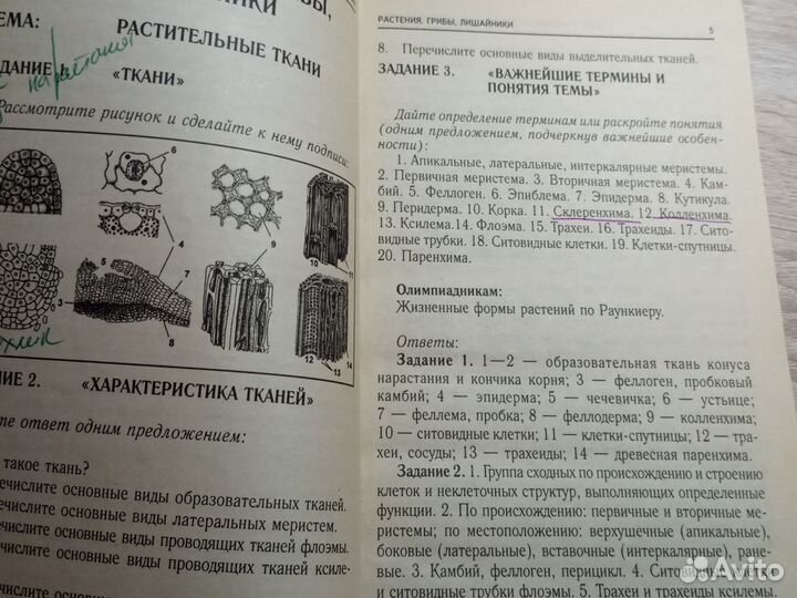 Биология для поступающих в вузы (Пименов А.В.)