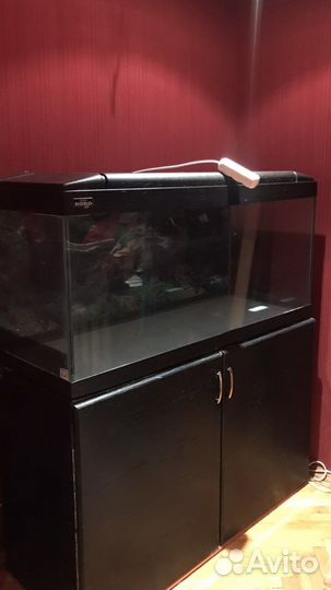 Аквариум