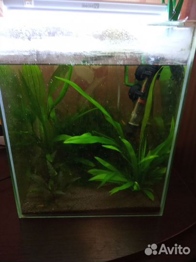 Аквариум