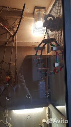 Клетка витрина