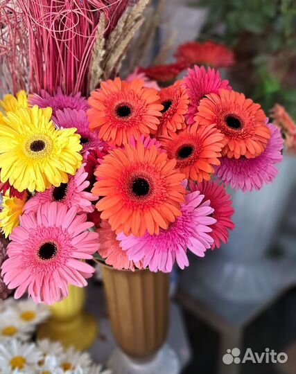 Герберы анапа. букет цветов. доставка цветов