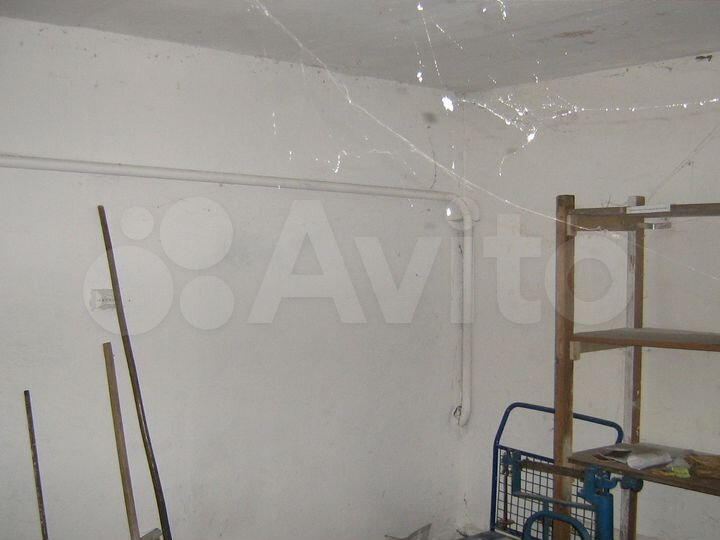 Торговая площадь 78,1 м²