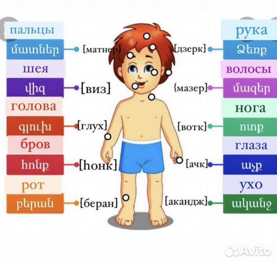 Репетитор по армянскому языку