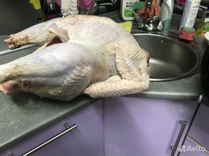 Тушка индейки