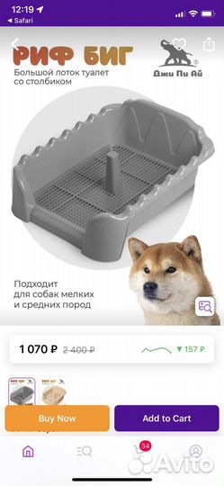 Лоток для собак со столбиком и бортиками