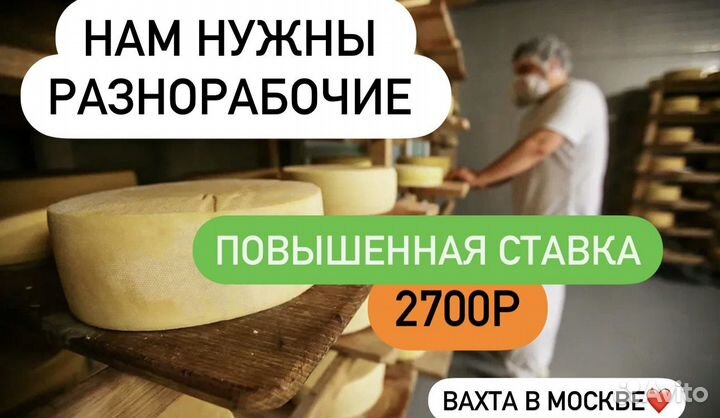 Разнорабочий в сыроварню Вахта\мо и Москва