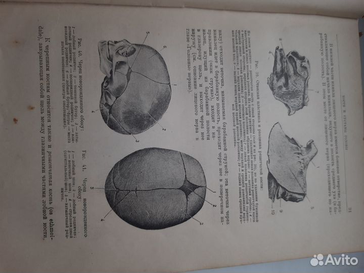 Кабанов Н. А. Анатомия человека 1938 г