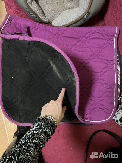 Вальтрап выездка