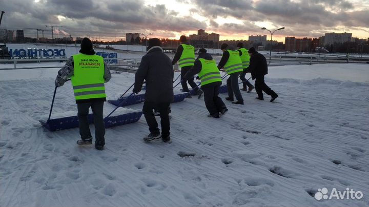 Разнорабочие / Подсобные рабочие/ Бригада рабочих