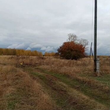 Участок 40 сот. (СНТ, ДНП)