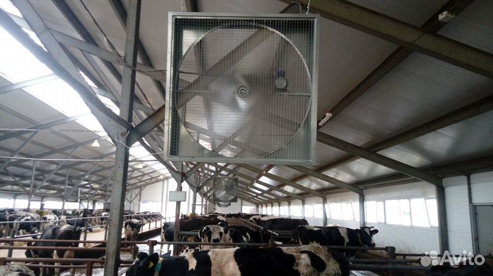 Разгонные и потолочные(горизонтальные) вентиляторы