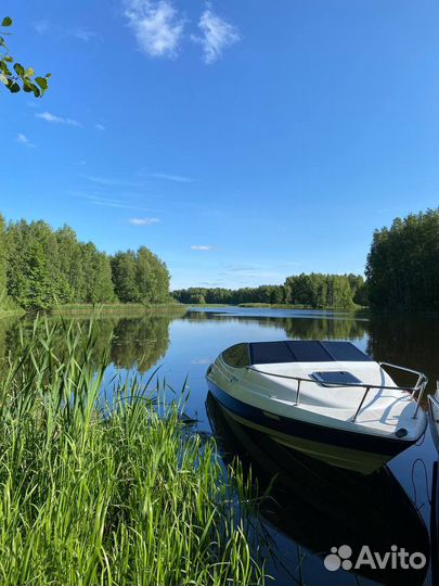 Прогулки на катере, водное такси