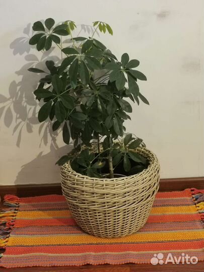 Кашпо из искусственного ротанга 10-12 литров