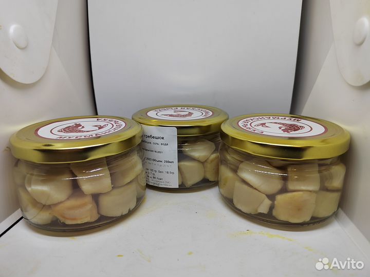 Морской гребешок