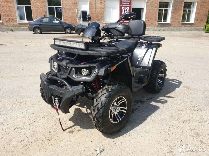 Avantis hunter big premium