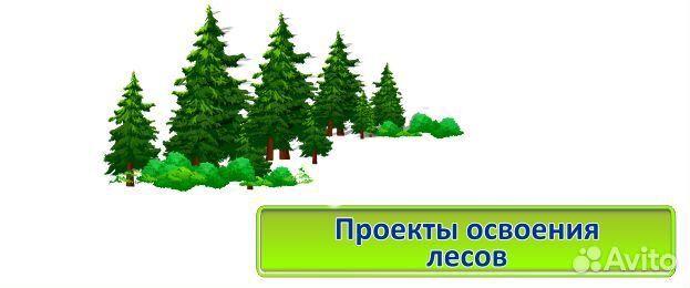 Проект освоения лесов составляется лицам которым участки переданы