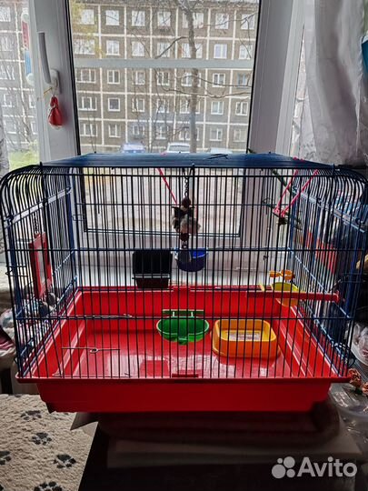 Клетки для грызунов, большая и поменьше