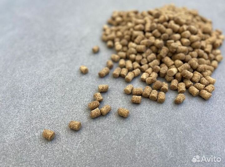 Экокорм для собак