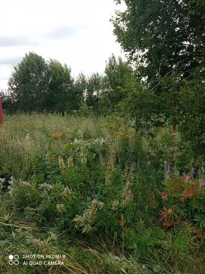 Участок 10 сот. (СНТ, ДНП)