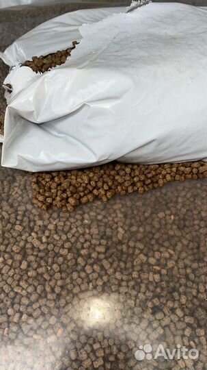 Корм для птиц и свиней