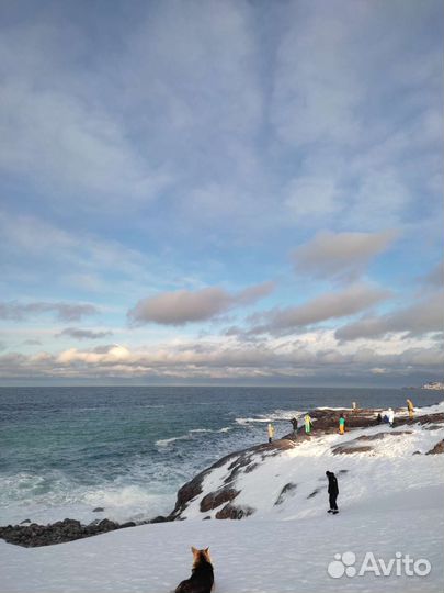 Тур в Териберку