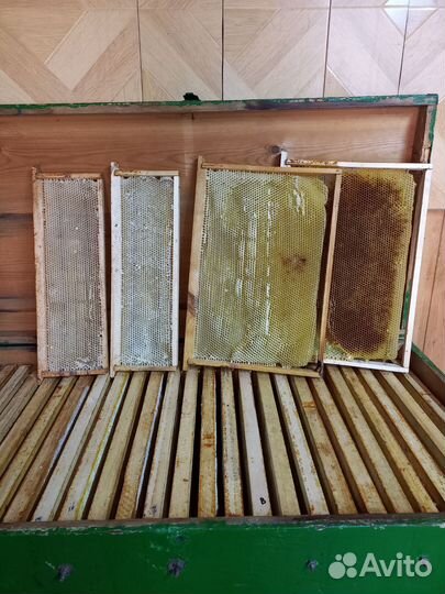 Сушь для пчел