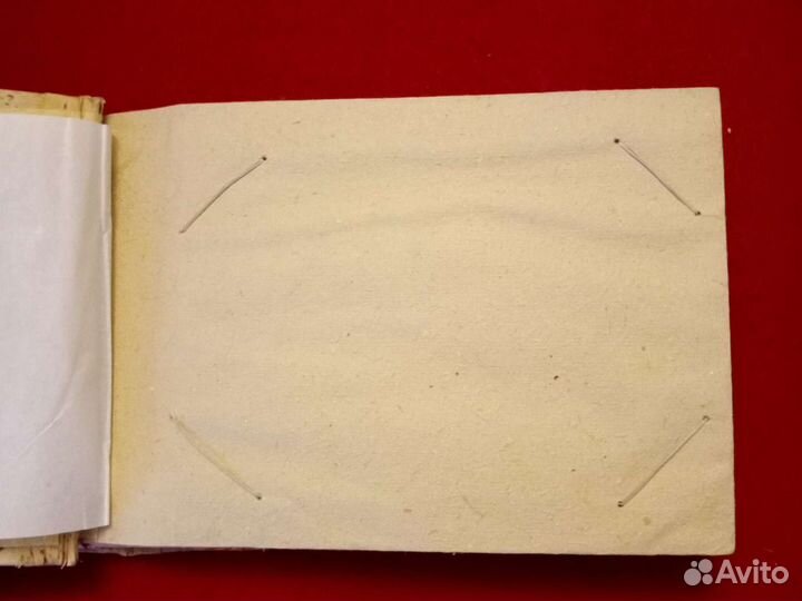 Альбом для фотографий из бересты