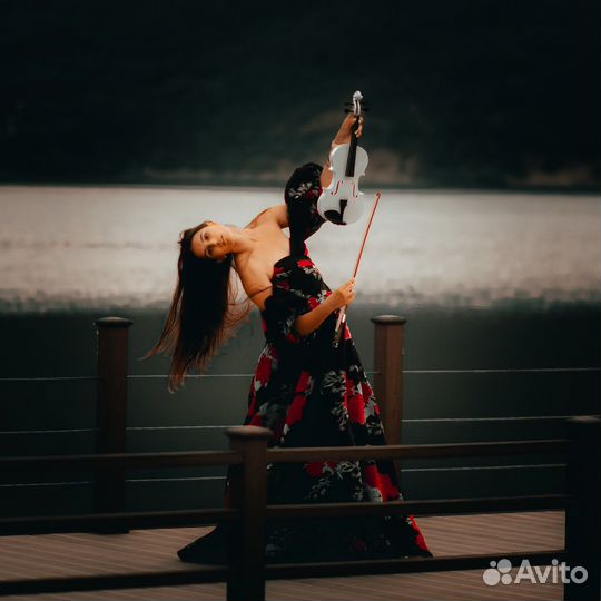 Скрипка белая