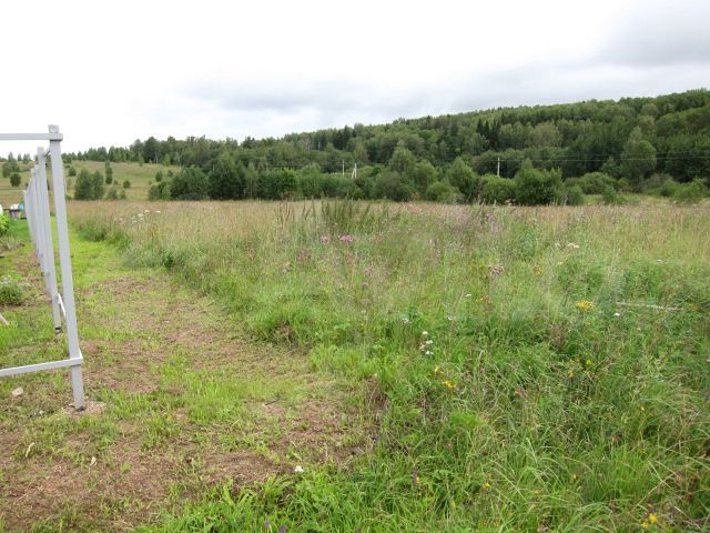 Участок 15 сот. (СНТ, ДНП)