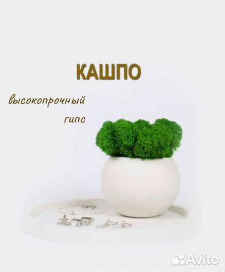 Кашпо со мхом