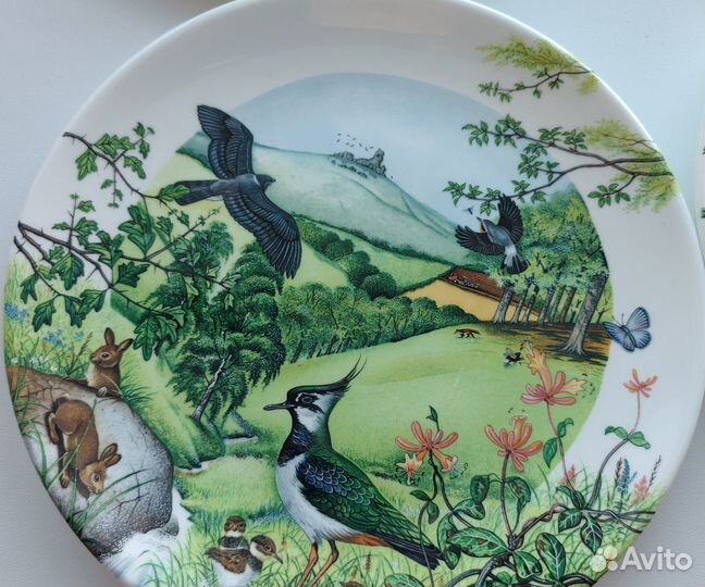 Винтажные тарелки фарфор Англия. Веджвуд Wedgwood