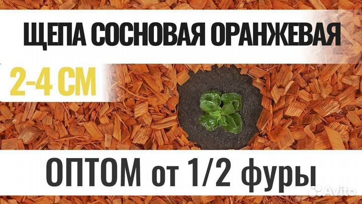 Мульча из щепы сосновой оранжевая Оптом
