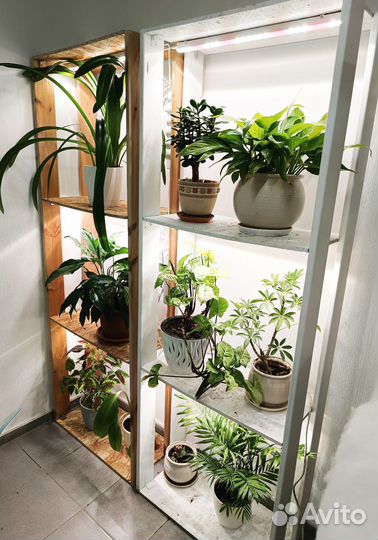 Стеллаж для цветов с подсветкой