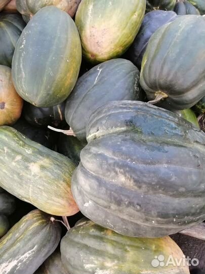 Продам тыкву