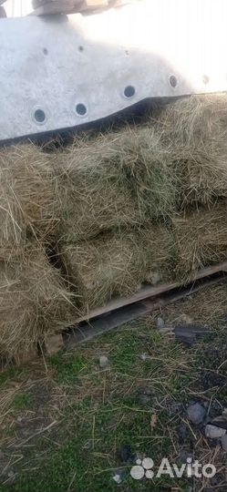 Продаю сено