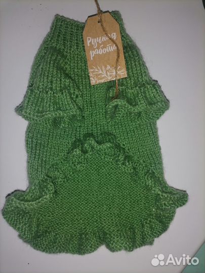 Одежда для животных