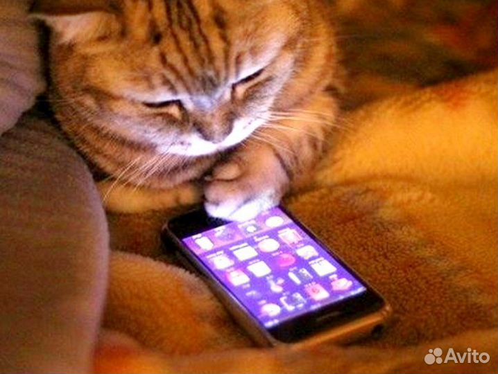 Операторы чата удаленно