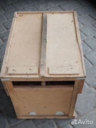 Улья ящики для пчел,отводков