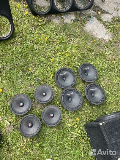 Динамики фронт