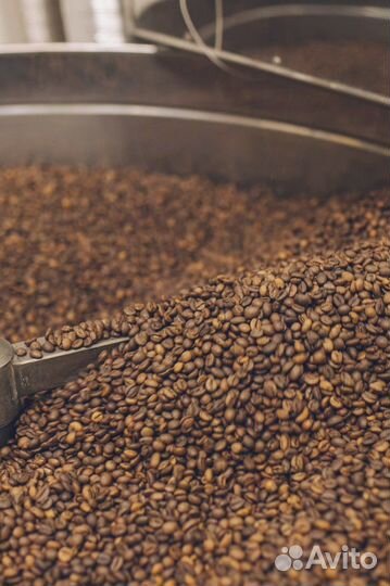 Робуста кофе по французской технологии оптом