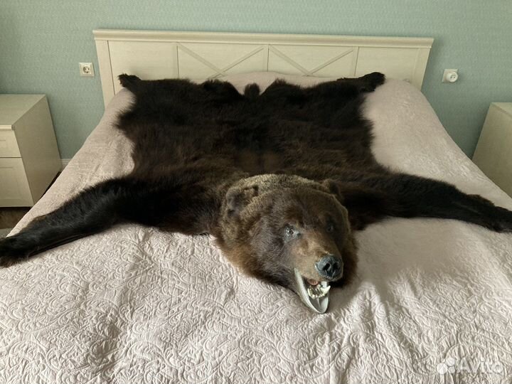 Шкура медведя (имитация)