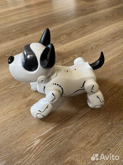 Робот пёс